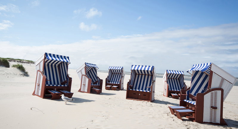 Corbeille de plage (1)