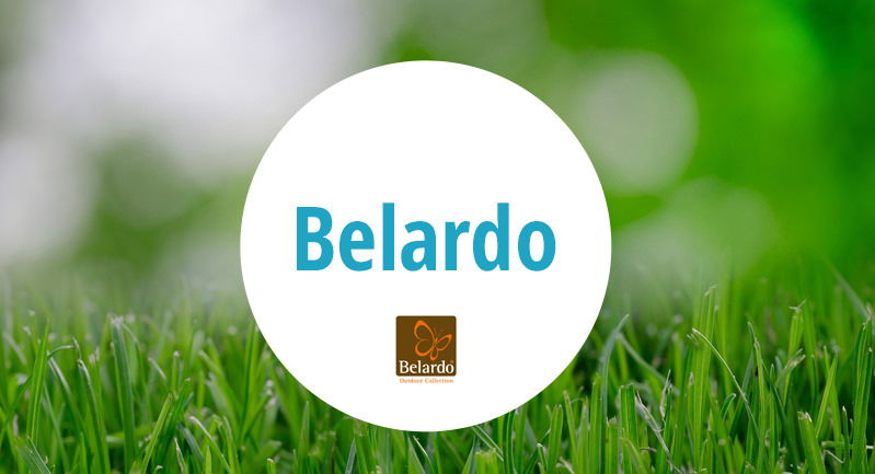 Belardo
