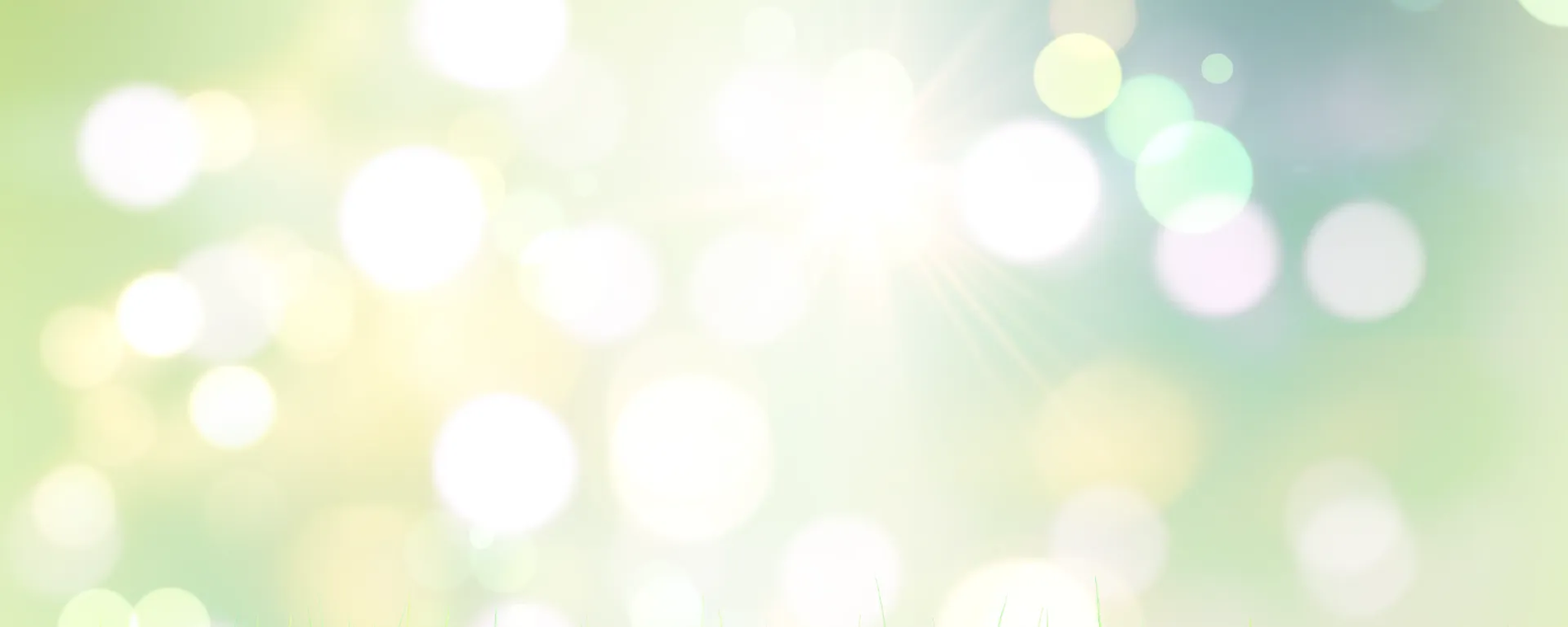 Marques exclusives en soldes